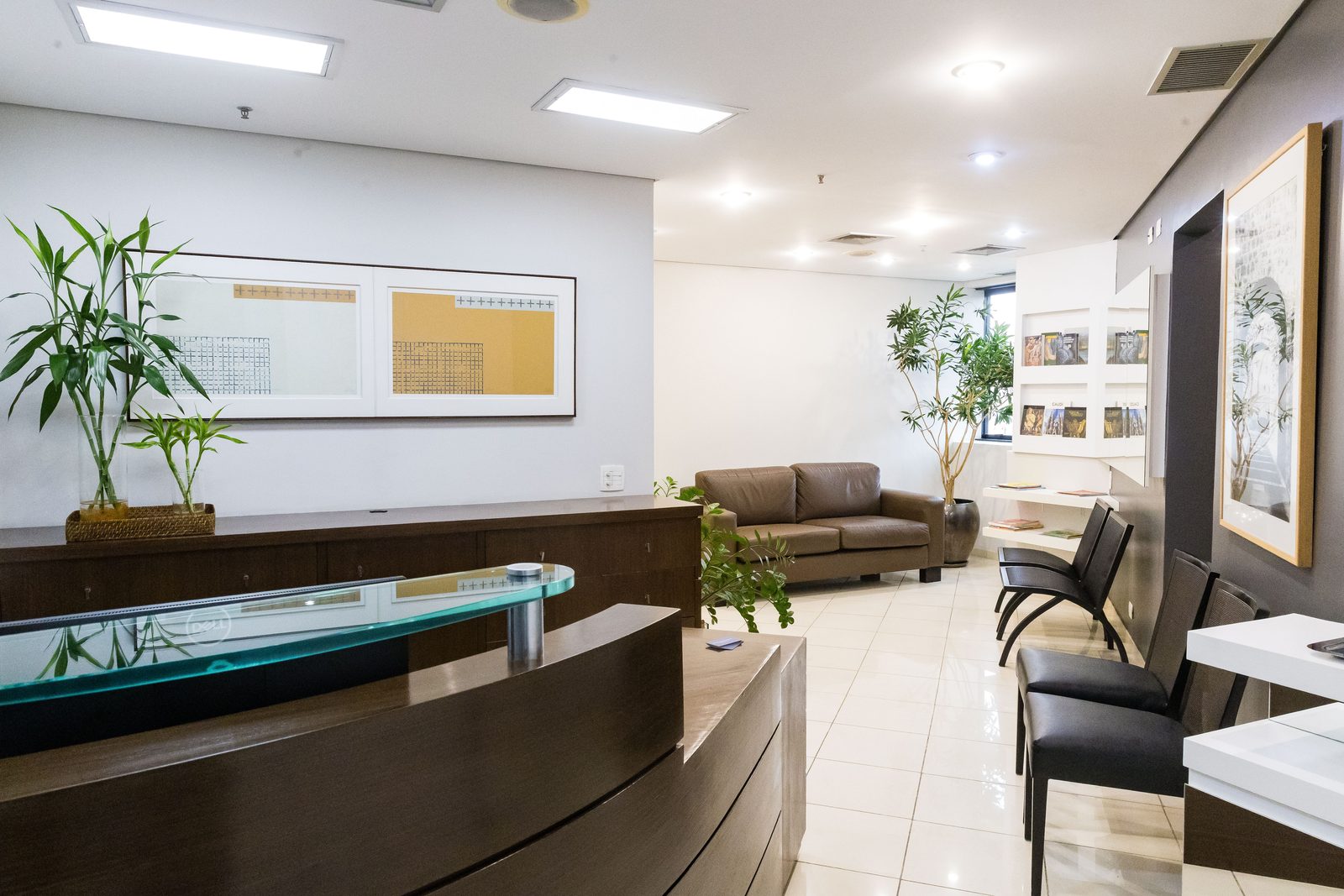Recepção e sala de espera do consultório, com sofás, plantas e iluminação natural